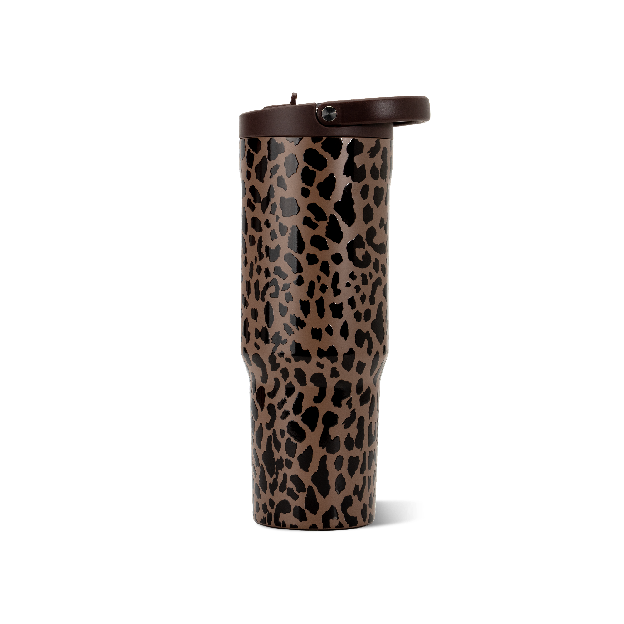 Brown Leopard - W0XY